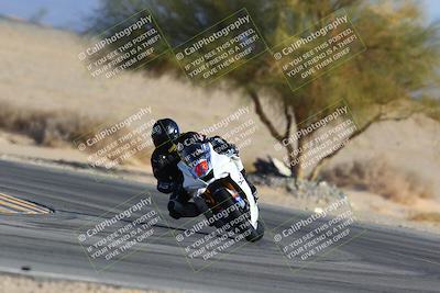 media/Jan-14-2024-SoCal Trackdays (Sun) [[2e55ec21a6]]/Turn 4 Tree of Life (155pm)/